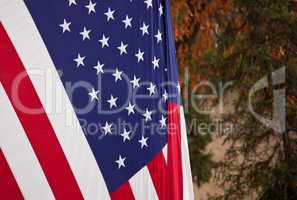 US Flag in the fall