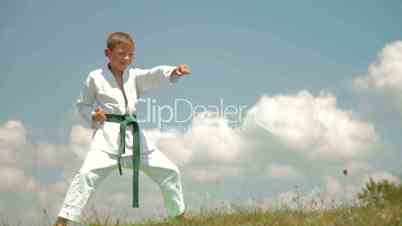 boy practicing karate on the nature