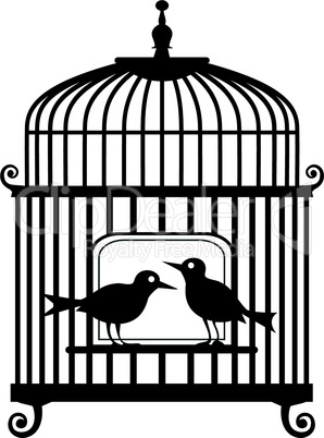 Vector birdcage