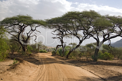 africa landscape 005