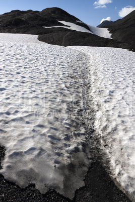 Exit Glacier 6