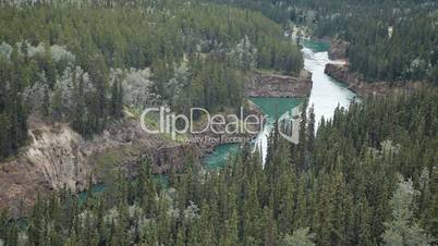 Whitehorse Canada river forest P HD 7717