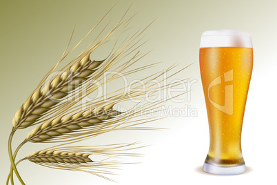 grain with beer