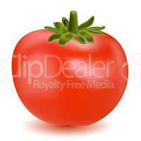 tomato vegetable