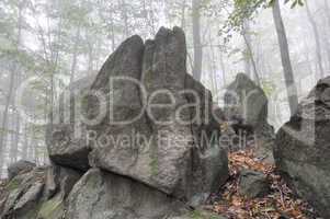 Felsen im Herbstwald