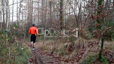 Jogger im Wald