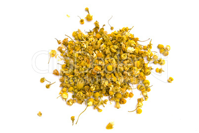 Echte Kamille (Matricaria chamomilla) - Matricaria recutita, German chamomile