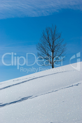 Winterlandschaft - Winter landscape