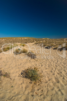 Dünen am Atlantik, Frankreich - Dunes at the atlantic ocean, fra