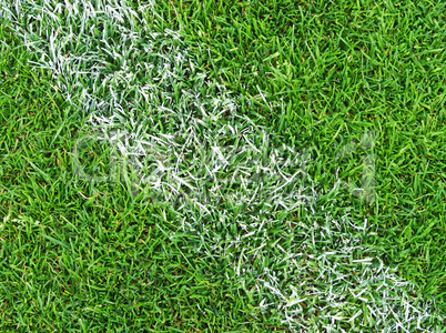 fußball rasen nahaufnahme - soccer pitch detail
