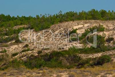 Dünen am Atlantik, Frankreich - Dunes at the atlantic ocean, fra