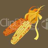 Two corns