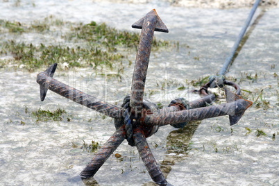 Zanzibar, Nungwi: anchor