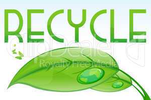 recycle