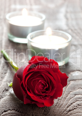 Rose und Kerzen / rose and candles