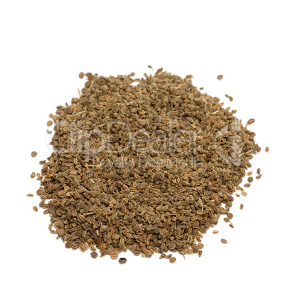 Selleriesamen / celery seeds