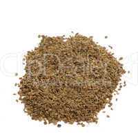 Selleriesamen / celery seeds