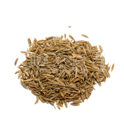 frischer Kreuzkümmel / fresh cumin