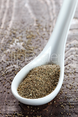 Selleriesamen auf Löffel / celery seeds on spoon