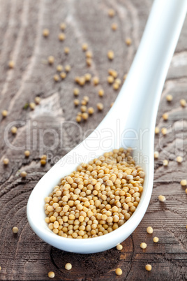 gelbe Senfkörner auf Löffel / yellow mustard seeds on spoon