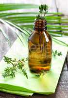 frisches Thymianöl / fresh thyme oil