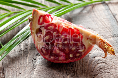 ein Stück Granatapfel / a piece of pomegranate