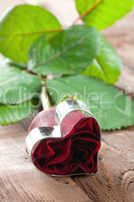 Rose mit Herz / rose with heart