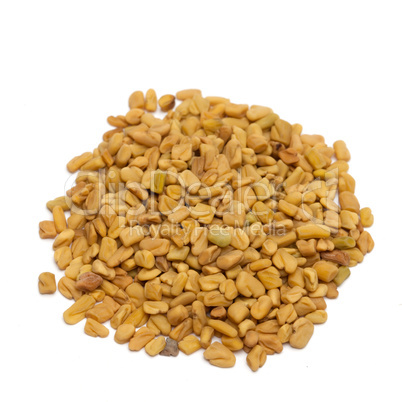 Bockshornklee / fenugreek