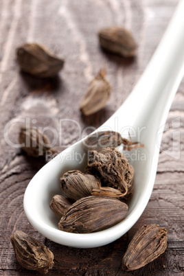 schwarzer Kardamom auf Löffel / black cardamom on spoon