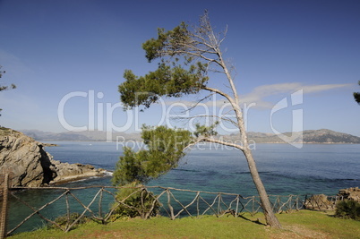 Blick zur Formentor-Halbinsel