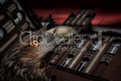 Adler vor einem historischen Gebäude