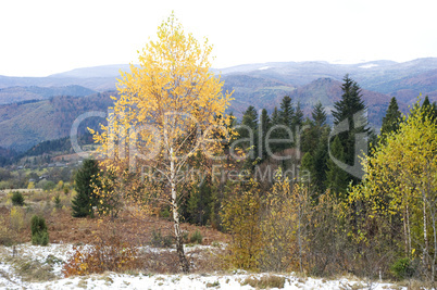 Autumn in Carpathian Mountains