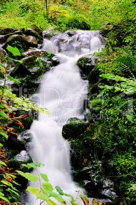 Bad Bertrich Wasserfall - Bad Bertrich waterfall 03