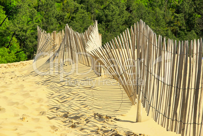 Dune du Pyla 13