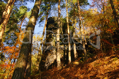 Sandsteinfelsen im Wald - sandstone rock in forest 29