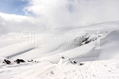 winter landscape