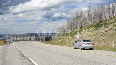 Car drives away on road forest fire P HD 7806