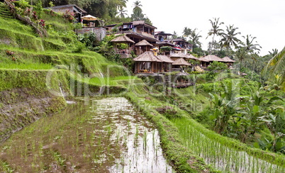 Indonesian rural village