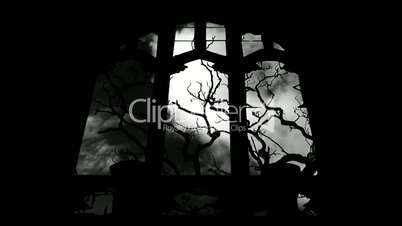 Timelapse clouds flowing past a bare tree, as viewed through arched church window