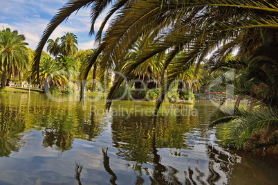 Lake with Palm trees