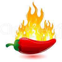 red chilli with fire