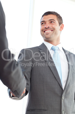 Happy businessmen shaking hands standing in the office