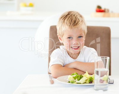 Portrait of a little boy eating a healthy salad for lunch