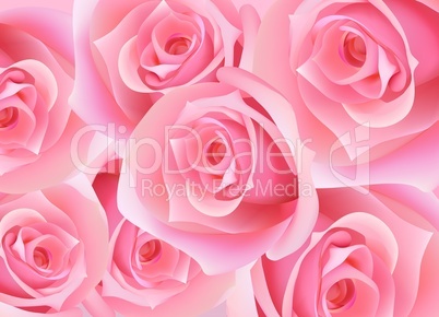 Abstract_Roses