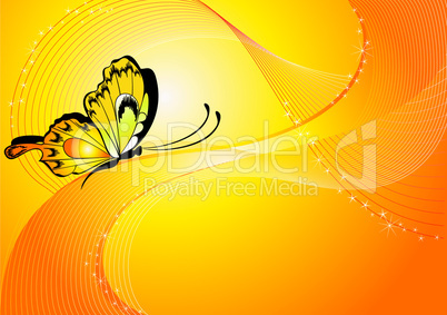 Butterfly on orange