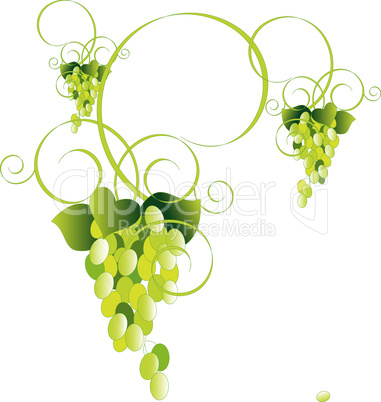 Green_Grapes