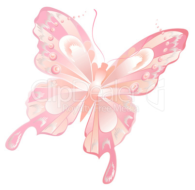 Pink butterfly