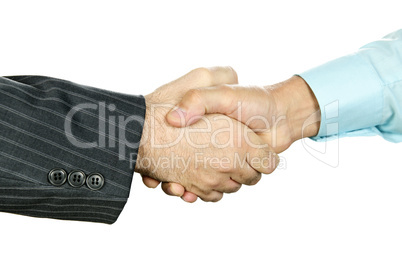 Business handshake