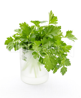 Fresh parsley on white background