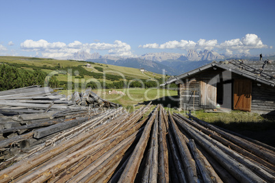 Baumstämme auf der Villanderer Alm